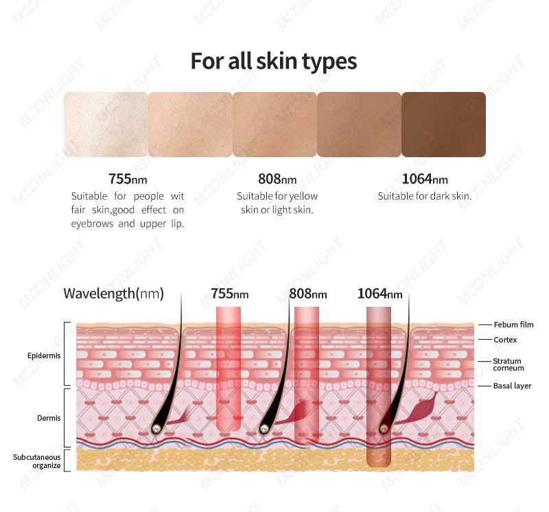 moonlight-06 moonlight-06