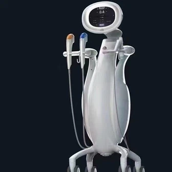 Hifu Ultherapy kaina